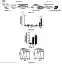 Fig. 02 - COMPOSITIONS AND METHODS FOR REPROGRAMING NON-HEPATOCYTE CELLS INTO HEPATOCYTE CELLS