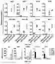 Fig. 03 - COMPOSITIONS AND METHODS FOR REPROGRAMING NON-HEPATOCYTE CELLS INTO HEPATOCYTE CELLS