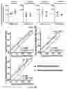 Fig. 10 - COMPOSITIONS AND METHODS FOR REPROGRAMING NON-HEPATOCYTE CELLS INTO HEPATOCYTE CELLS