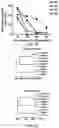 Fig. 11 - COMPOSITIONS AND METHODS FOR REPROGRAMING NON-HEPATOCYTE CELLS INTO HEPATOCYTE CELLS
