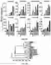 Fig. 12 - COMPOSITIONS AND METHODS FOR REPROGRAMING NON-HEPATOCYTE CELLS INTO HEPATOCYTE CELLS