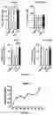 Fig. 16 - COMPOSITIONS AND METHODS FOR REPROGRAMING NON-HEPATOCYTE CELLS INTO HEPATOCYTE CELLS