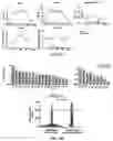 Fig. 19 - COMPOSITIONS AND METHODS FOR REPROGRAMING NON-HEPATOCYTE CELLS INTO HEPATOCYTE CELLS