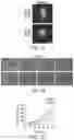 Fig. 02 - MULTICELLULAR INTEGRATED BRAIN TISSUE IN NEUROLOGICAL DISEASES