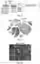 Fig. 05 - MULTICELLULAR INTEGRATED BRAIN TISSUE IN NEUROLOGICAL DISEASES