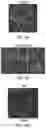 Fig. 09 - MULTICELLULAR INTEGRATED BRAIN TISSUE IN NEUROLOGICAL DISEASES