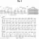 Fig. 05 - Reactive persulfides mediate sulfur respiration in mitochondria via sulfide:quinone oxidoreductase