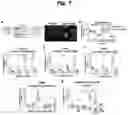 Fig. 08 - Reactive persulfides mediate sulfur respiration in mitochondria via sulfide:quinone oxidoreductase