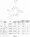 Fig. 16 - DESIGN AND OPTIMIZATION OF TYPE IV BRAF INHIBITORS FOR THE TREATMENT OF MELANOMA