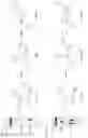 Fig. 08 - CGAS/DNCV-LIKE NUCLEOTIDYLTRANSFERASES AND USES THEREOF