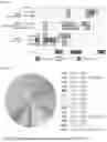 Fig. 29 - CGAS/DNCV-LIKE NUCLEOTIDYLTRANSFERASES AND USES THEREOF