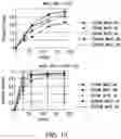 Fig. 10 - POLYMERASE ENZYME FROM PYROCOCCUS FURIOSUS