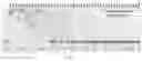 Fig. 04 - Modified terminal deoxynucleotidyl transferase (TdT) enzymes