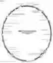 Fig. 06 - Lactobacillus Mudanjiangensis Strains And Cellulase Derived Therefrom