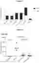 Fig. 07 - Modified recombinant lysosomal alpha-galactosidase A and aspartylglucoaminidase having low mannose-6-phosphate and high sialic acid