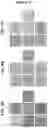 Fig. 09 - Modified recombinant lysosomal alpha-galactosidase A and aspartylglucoaminidase having low mannose-6-phosphate and high sialic acid