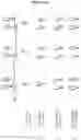 Fig. 16 - Modified recombinant lysosomal alpha-galactosidase A and aspartylglucoaminidase having low mannose-6-phosphate and high sialic acid