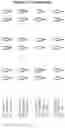 Fig. 18 - Modified recombinant lysosomal alpha-galactosidase A and aspartylglucoaminidase having low mannose-6-phosphate and high sialic acid