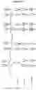 Fig. 19 - Modified recombinant lysosomal alpha-galactosidase A and aspartylglucoaminidase having low mannose-6-phosphate and high sialic acid