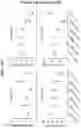 Fig. 23 - Modified recombinant lysosomal alpha-galactosidase A and aspartylglucoaminidase having low mannose-6-phosphate and high sialic acid
