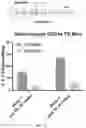Fig. 26 - COMPOSITIONS AND METHODS FOR TREATING GLYCOGEN STORAGE DISEASE TYPE 1A