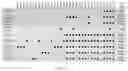 Fig. 27 - COMPOSITIONS AND METHODS FOR TREATING GLYCOGEN STORAGE DISEASE TYPE 1A