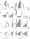 Fig. 11 - Splinted ligation adapter tagging