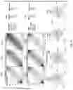 Fig. 14 - Splinted ligation adapter tagging