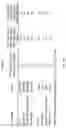 Fig. 23 - Splinted ligation adapter tagging