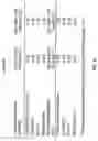 Fig. 25 - Splinted ligation adapter tagging