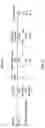 Fig. 26 - Splinted ligation adapter tagging