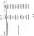 Fig. 32 - Splinted ligation adapter tagging