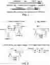 Fig. 02 - Methods of Detecting Analytes and Compositions Thereof