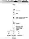 Fig. 03 - Methods of Detecting Analytes and Compositions Thereof