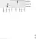 Fig. 29 - NOVEL CRISPR RNA TARGETING ENZYMES AND SYSTEMS AND USES THEREOF