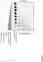 Fig. 40 - NOVEL CRISPR RNA TARGETING ENZYMES AND SYSTEMS AND USES THEREOF