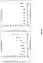 Fig. 27 - REVERSIR TM COMPOUNDS