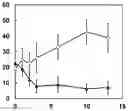 Fig. 02 - NUCLEIC ACID CONJUGATE