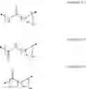 Fig. 09 - NUCLEIC ACID CONJUGATE