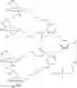Fig. 49 - NUCLEIC ACID CONJUGATE