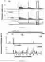 Fig. 05 - METHODS AND MATERIALS FOR ACTIVATING AN INTERNAL RIBOSOME ENTRY SITE IN EXON 5 OF THE DMD GENE