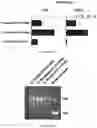 Fig. 06 - METHODS AND MATERIALS FOR ACTIVATING AN INTERNAL RIBOSOME ENTRY SITE IN EXON 5 OF THE DMD GENE