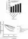 Fig. 16 - METHODS AND MATERIALS FOR ACTIVATING AN INTERNAL RIBOSOME ENTRY SITE IN EXON 5 OF THE DMD GENE