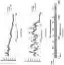 Fig. 21 - METHODS AND MATERIALS FOR ACTIVATING AN INTERNAL RIBOSOME ENTRY SITE IN EXON 5 OF THE DMD GENE