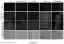 Fig. 50 - METHODS AND MATERIALS FOR ACTIVATING AN INTERNAL RIBOSOME ENTRY SITE IN EXON 5 OF THE DMD GENE