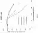 Fig. 03 - P-ethoxy nucleic acids for STAT3 inhibition