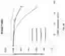 Fig. 04 - P-ethoxy nucleic acids for STAT3 inhibition