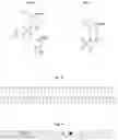 Fig. 02 - ANTISENSE OLIGONUCLEOTIDES FOR NUCLEIC ACID EDITING