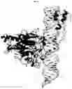 Fig. 03 - ANTISENSE OLIGONUCLEOTIDES FOR NUCLEIC ACID EDITING
