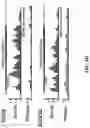 Fig. 15 - Methods of modulating RNA translation